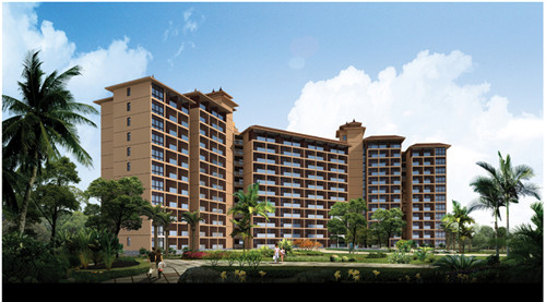 爸比宝贝大鸡排