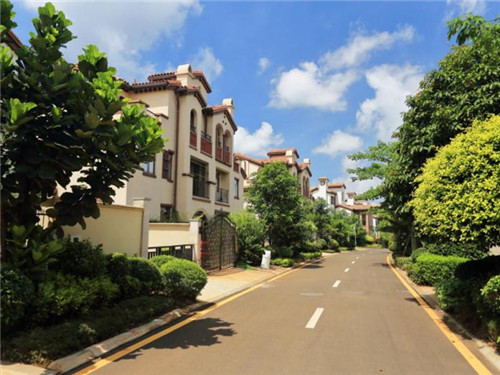 煎饼先生煎饼果子 煎饼果儿