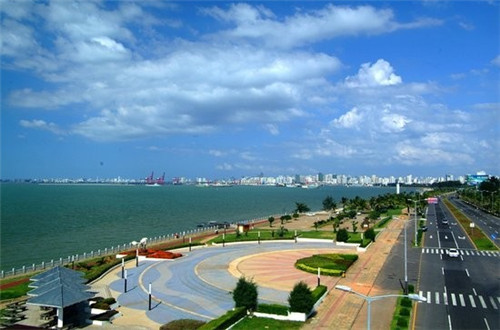 BLOOM.盛放维生素饮料