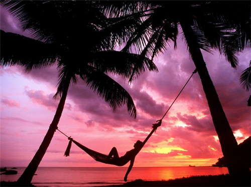 内窥镜品牌排行榜前十名
