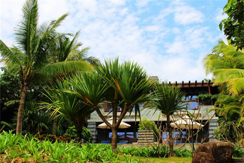 如何设计火锅店厨房装修，火锅店厨房装修效果图片