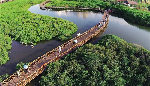 火锅店没有吊顶灯光设计，火锅店没有吊顶灯光设计怎么办