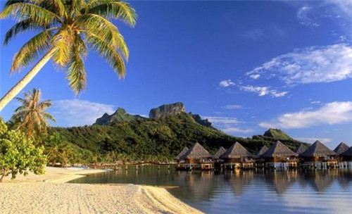 开了家整骨专家亏损的多吗