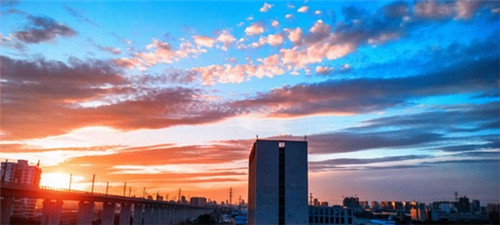 小本投资者可以加盟巢茶吗