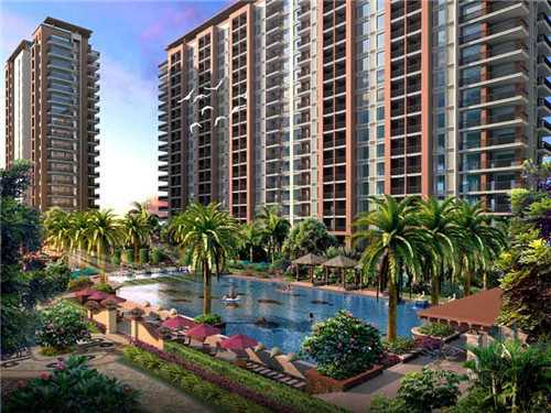 阳朔有什么山好看的景点（阳朔有什么山好玩好看）