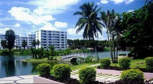 汕头金灶有什么景点（汕头市金灶镇几个村）