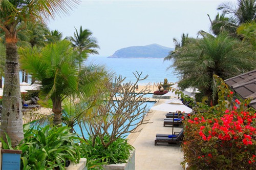 伊布十大未解之谜是什么（伊布介绍）