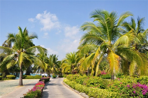 新鬼武者一闪判定（新鬼武者技能）