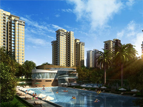 台州炒花草怎么炒好吃呢（炒花草的做法）